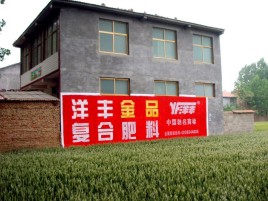 墨江如何让墙体广告展现最大化效果