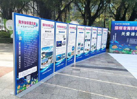 墨江KT板的种类和知识。